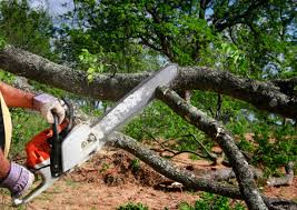 Best Lawn Irrigation Installation and Maintenance  in Harvey, MI